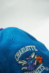 Vintage Charlotte Hornets Starter The Natural Arch - WOOL