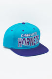 Vintage Charlotte Hornets G-Cap New Without Tag