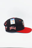 Vintage Chicago Bulls Signature BackTalk New With Tag