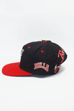 Vintage Chicago Bulls Signature BackTalk New With Tag