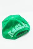 Vintage Philadelphia Eagles American Needle Blockhead New Without Tag WOOL