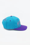 Vintage Charlotte Hornets Signatures BackTalk WOOL