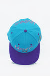 Vintage Charlotte Hornets Signatures BackTalk WOOL