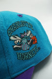 Vintage Charlotte Hornets Signatures BackTalk WOOL