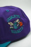 Vintage Charlotte Hornets Youngan Reverse Check New Without Tag