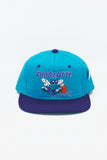 Vintage Charlotte Hornets Youngan 2-Tone New With Tag