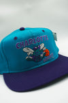 Vintage Charlotte Hornets Youngan 2-Tone New With Tag