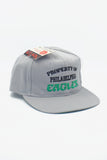 Vintage Philadelphia Eagles New Era Property Of Hat New With Tag WOOL