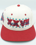 Vintage Rare Super Bowl XXVII 1993 Sports Specialties Wool Hat