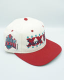 Vintage Rare Super Bowl XXVII 1993 Sports Specialties Wool Hat