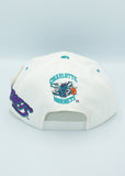Vintage White - NBA Charlotte Hornets 1990s Snapback AJD Wool New W/ Tags