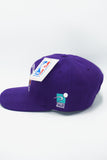 Vintage CHARLOTTE HORNETS SPORTS SPECIALTIES Team Blend New With Tag WOOL