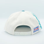 Vintage MIAMI DOLPHINS Pro Line Sports Specialties Pro Laser Line Hat Snapback WOOL