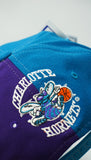 Vintage Charlotte Hornets Half Time Wool New With Tag