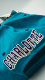 Vintage Charlotte Hornets  Snapback Hat Wave Style AJD NEW WITH TAG