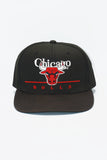 Vintage Chicago Bulls Twins Enterprise BarLine Blackdome 1-Tone