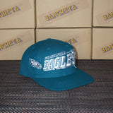 Vintage Philadelphia Eagles Sports Specialties Grid-Cage Style New Without Tag WOOL