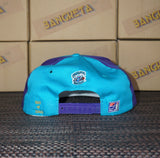 Vintage Charlotte Hornets Limited Edition The Game New Without Tag