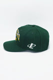 Vintage Green Bay Packers Logo Athletic Spike Pro Line Cap New With Tag WOOL