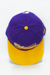 Vintage Minnesota Vikings Starter TailSweep 100% Wool New Without Tag
