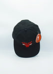 Vintage Chicago Bulls Youngan- GCAP - New With Tag