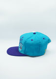 Vintage Charlotte Hornets by The Game Limited Edition New With Tag