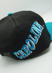 Vintage Carolina Panthers Sports Specialties Pro Line Sidewave New With Tag WOOL