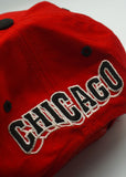Vintage Chicago Bulls GCAP Wave Blockhead