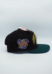 Vintage Green Bay Packers Super Bowl XXXI 31 Championship Hat American Needle - New With Tag