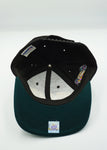 Vintage Green Bay Packers Super Bowl XXXI 31 Championship Hat American Needle - New With Tag