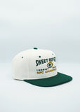 Vintage Green Bay Packers Super Bowl XXXI 31 Championship Hat - WOOL Headmasters - New Without Tag