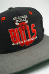 Vintage Chicago Bulls 100th Centennial The Game