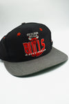 Vintage Chicago Bulls 100th Centennial The Game