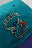 Vintage Charlotte Hornets by Competitor New Without Tag