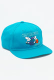 Vintage Charlotte Hornets GCAP 1-Tone New Without Tag