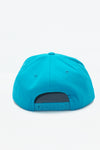 Vintage Charlotte Hornets GCAP 1-Tone New Without Tag