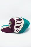 Vintage Anneheim Mighty Ducks Twins Enterprise Brand Snap Back